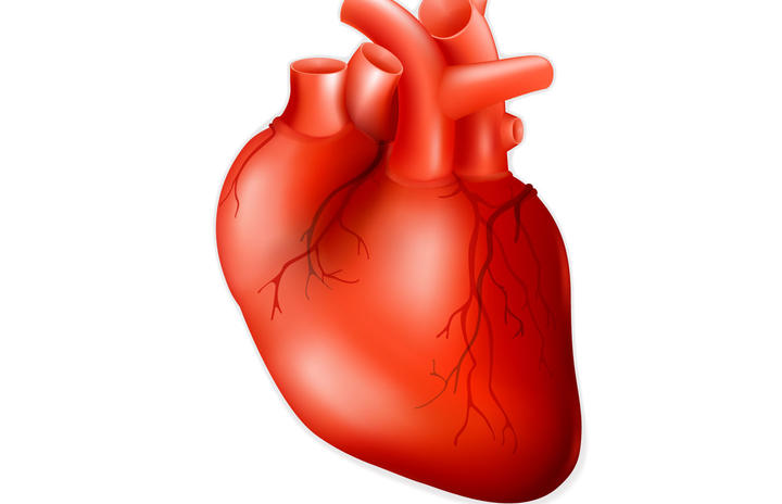 La cirugía bariátrica y las enfermedades del corazón