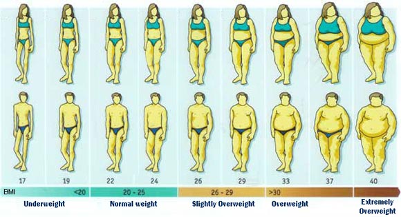 Cómo se diagnostican el sobrepeso y la obesidad?