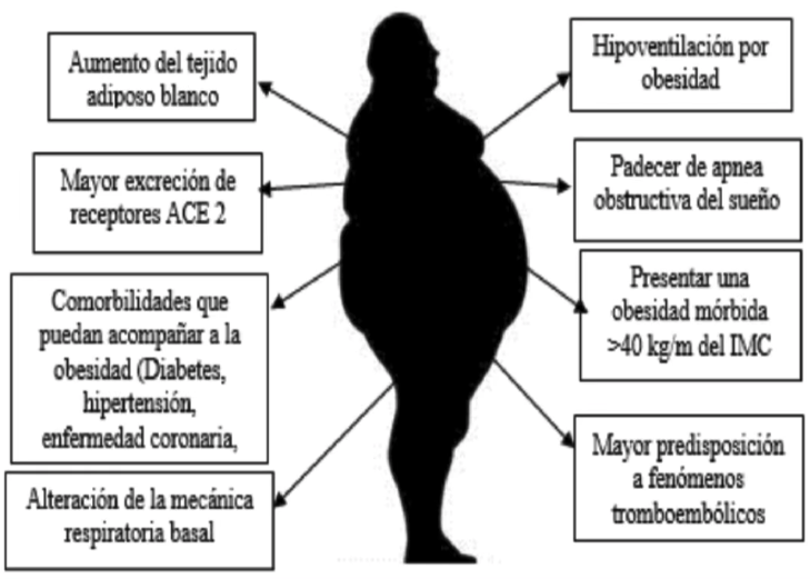 El impacto de la obesidad en la salud