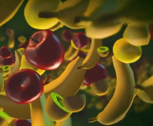 Micronutrientes, los aliados invisibles Micronutrientes, los aliados invisibles