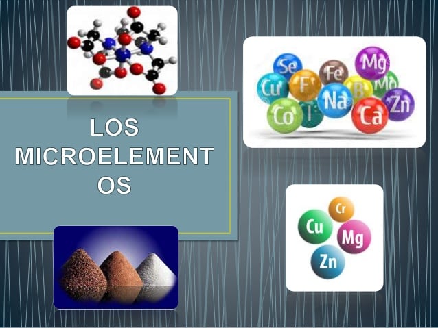 Obesidad y deficiencia de microelementos